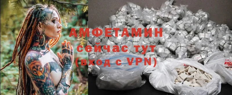 магазин    Верхняя Пышма  Amphetamine Premium 